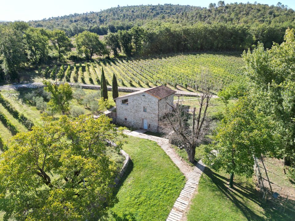 Archirivolto, Casole d'Elsa foto-3