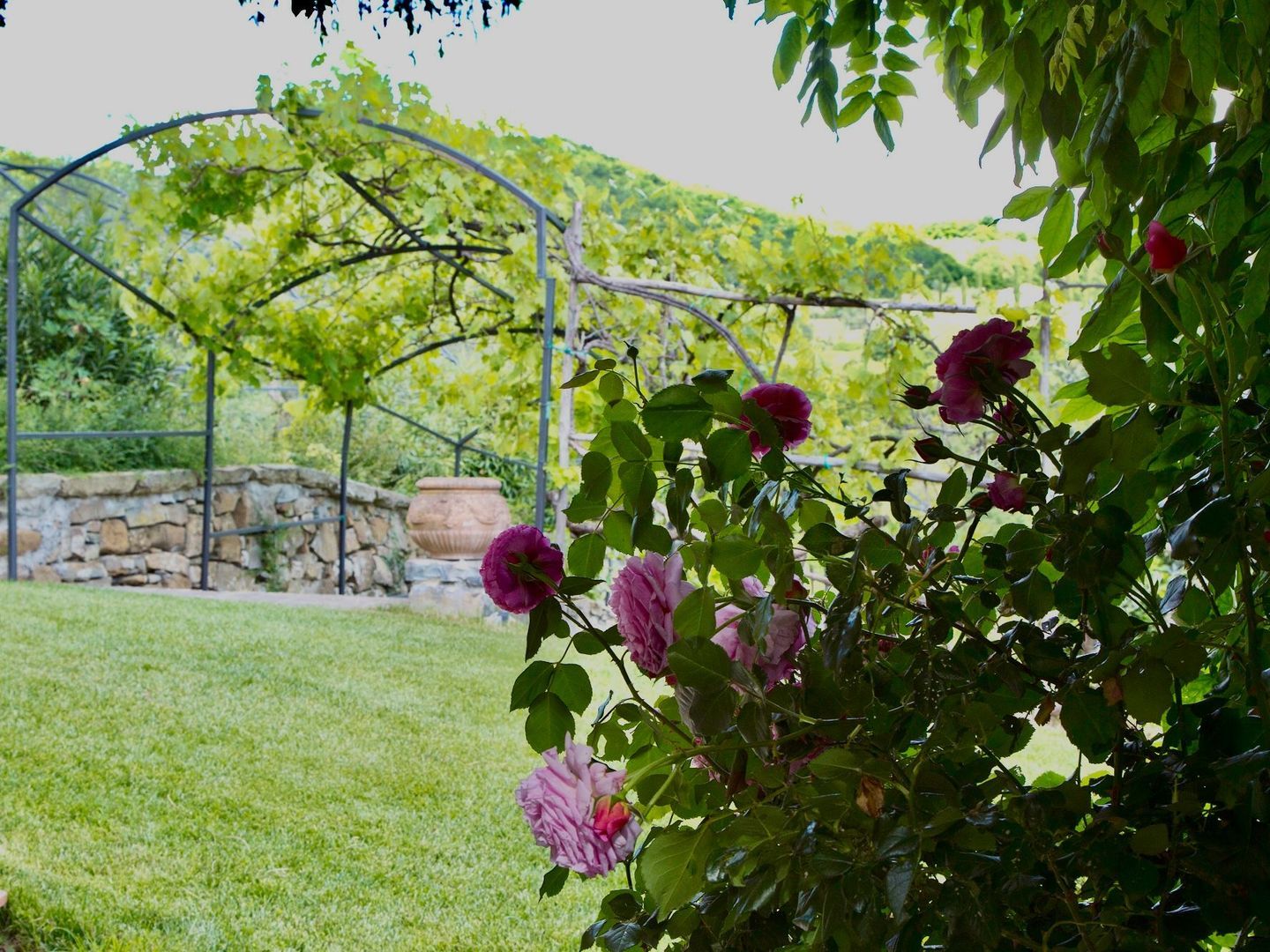 Podere la Mita, Civitella in Val di Chiana foto-27