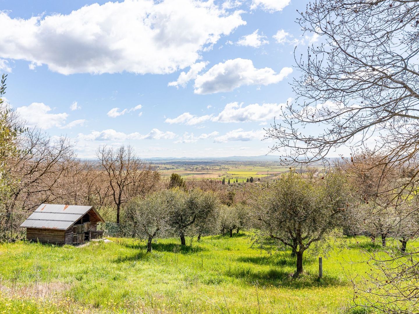 Strada comunale di Santa Lucia, Rigomagno foto-6