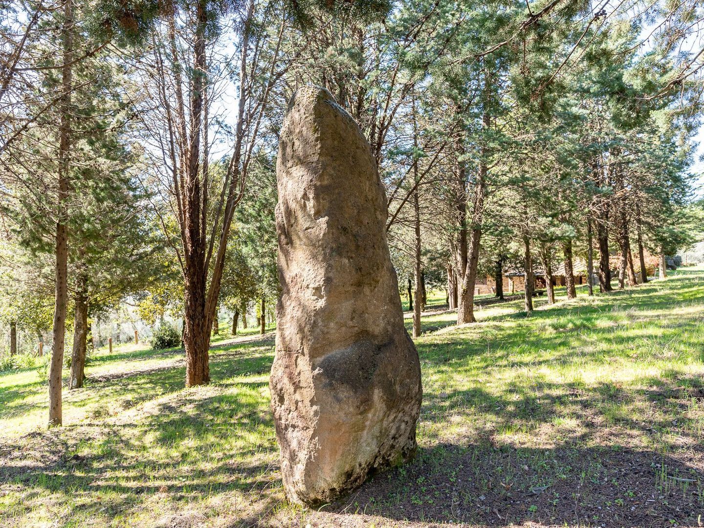 Strada comunale di Santa Lucia, Rigomagno foto-18