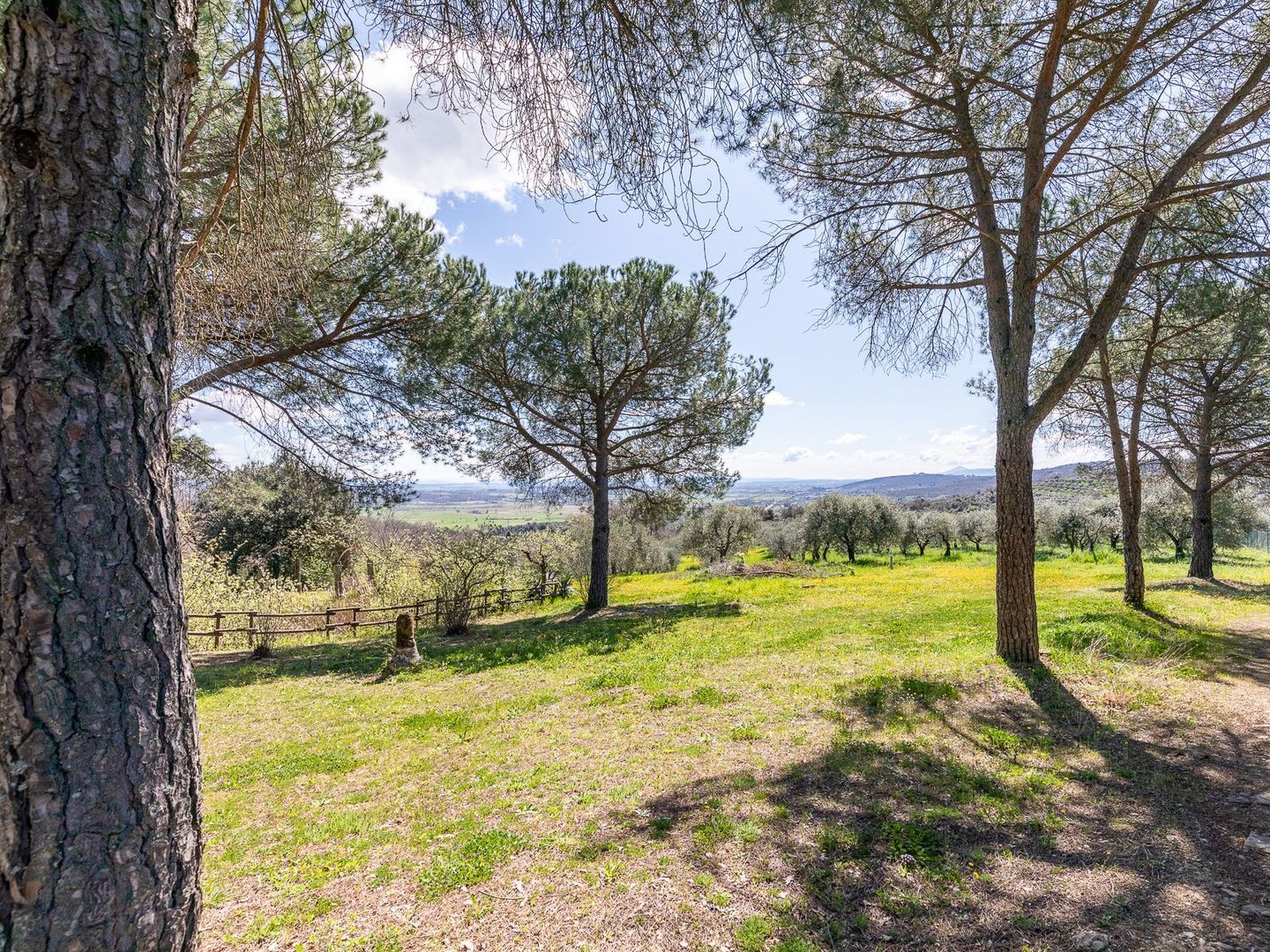 Strada comunale di Santa Lucia, Rigomagno foto-10