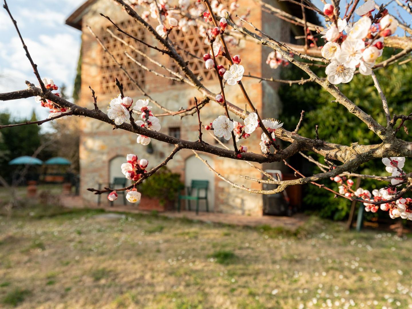 Strada provinciale 49, Località Marcialla foto-63