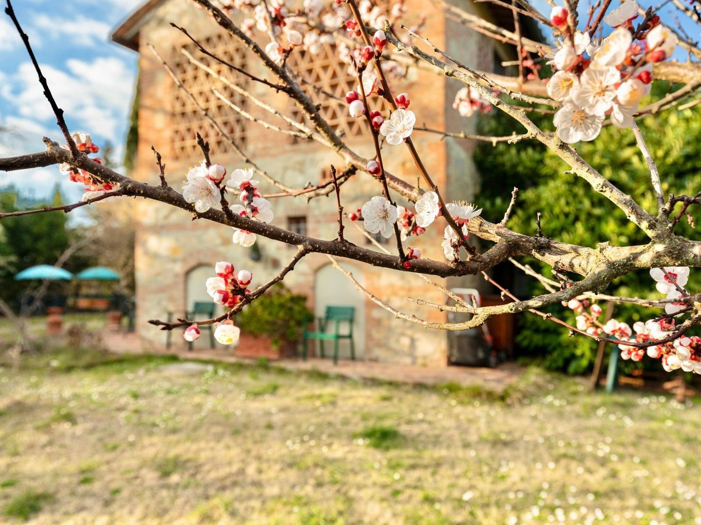 Strada provinciale 49, Località Marcialla foto-66