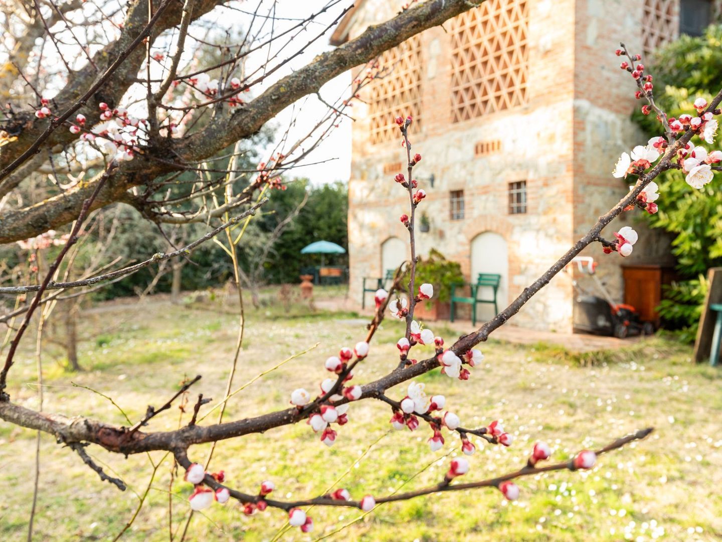 Strada provinciale 49, Località Marcialla foto-64