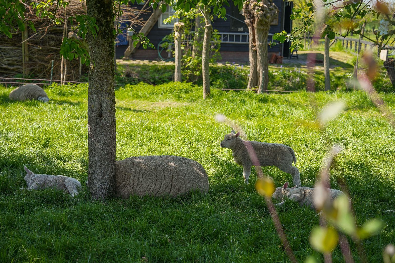 Broekseweg 64, Meerkerk foto-52