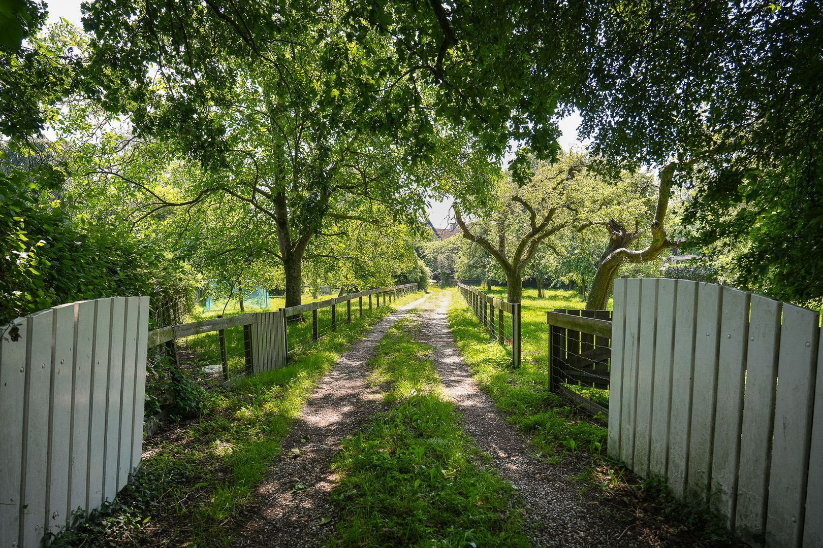 Lingedijk 110, Acquoy foto-36