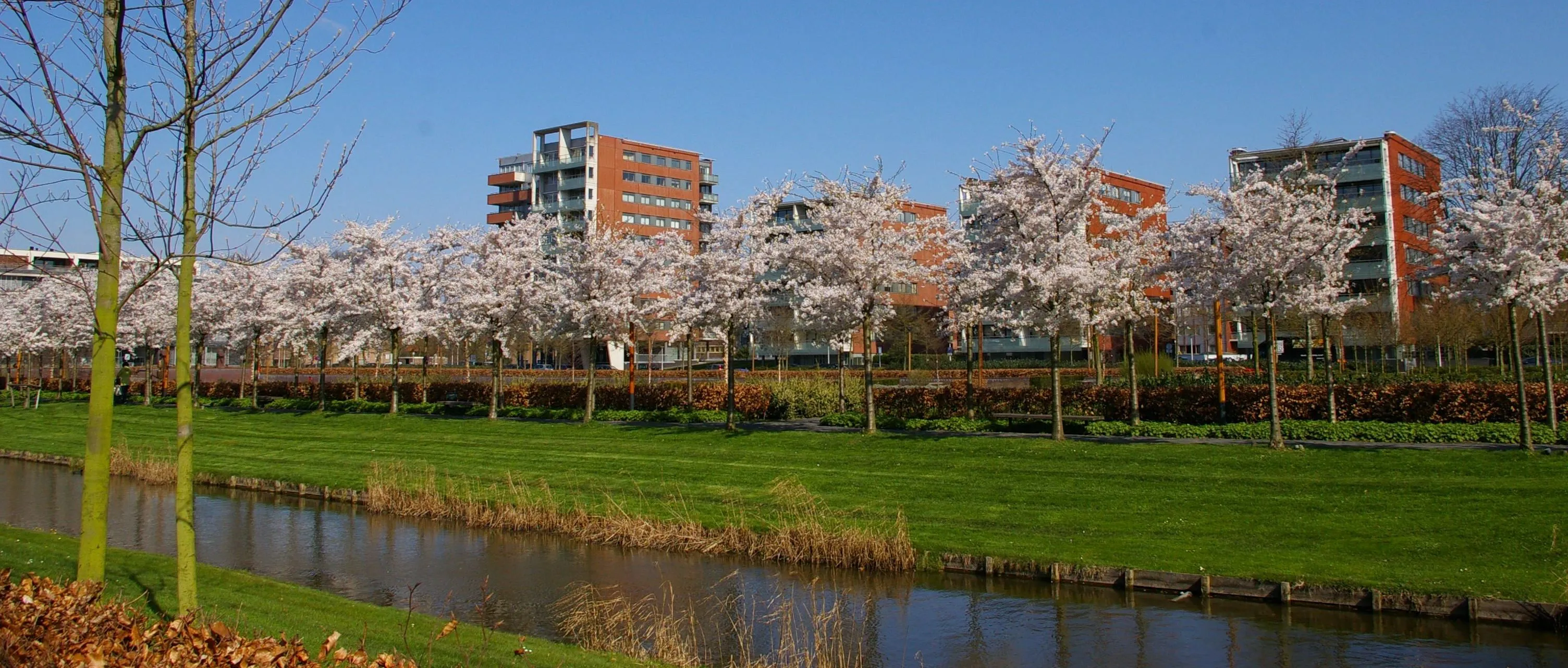 visuals werkgebied_amstelveen1 